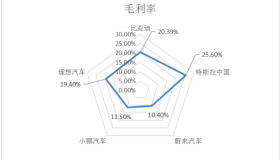 特斯拉、比亚迪降价后销量近百万，混战的造车新势力如何破局？