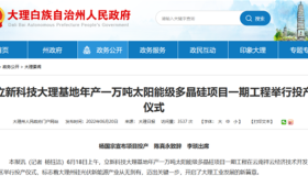 吉利进军硅料，纯度只有6个“9”，却要干到50万吨，颠覆行业还是一把赔光？