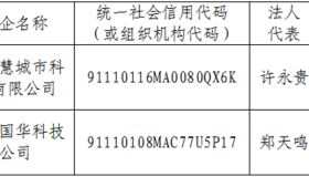 国家电投打假！