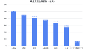 比亚迪一超，吉利长城两强，理蔚小零上岸追赶，中国自主车企最新格局！