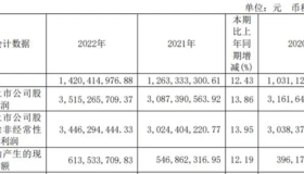 川投能源2022年净利35.15亿同比增长13.86% 总经理杨洪薪酬70.24万