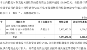 煤制烯烃巨头抛100亿定增预案，要建全球最大项目