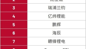 2023年Q1全球储能电池出货TOP10