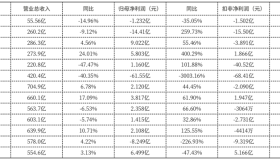 庞大警示：传统4S店路在何方？